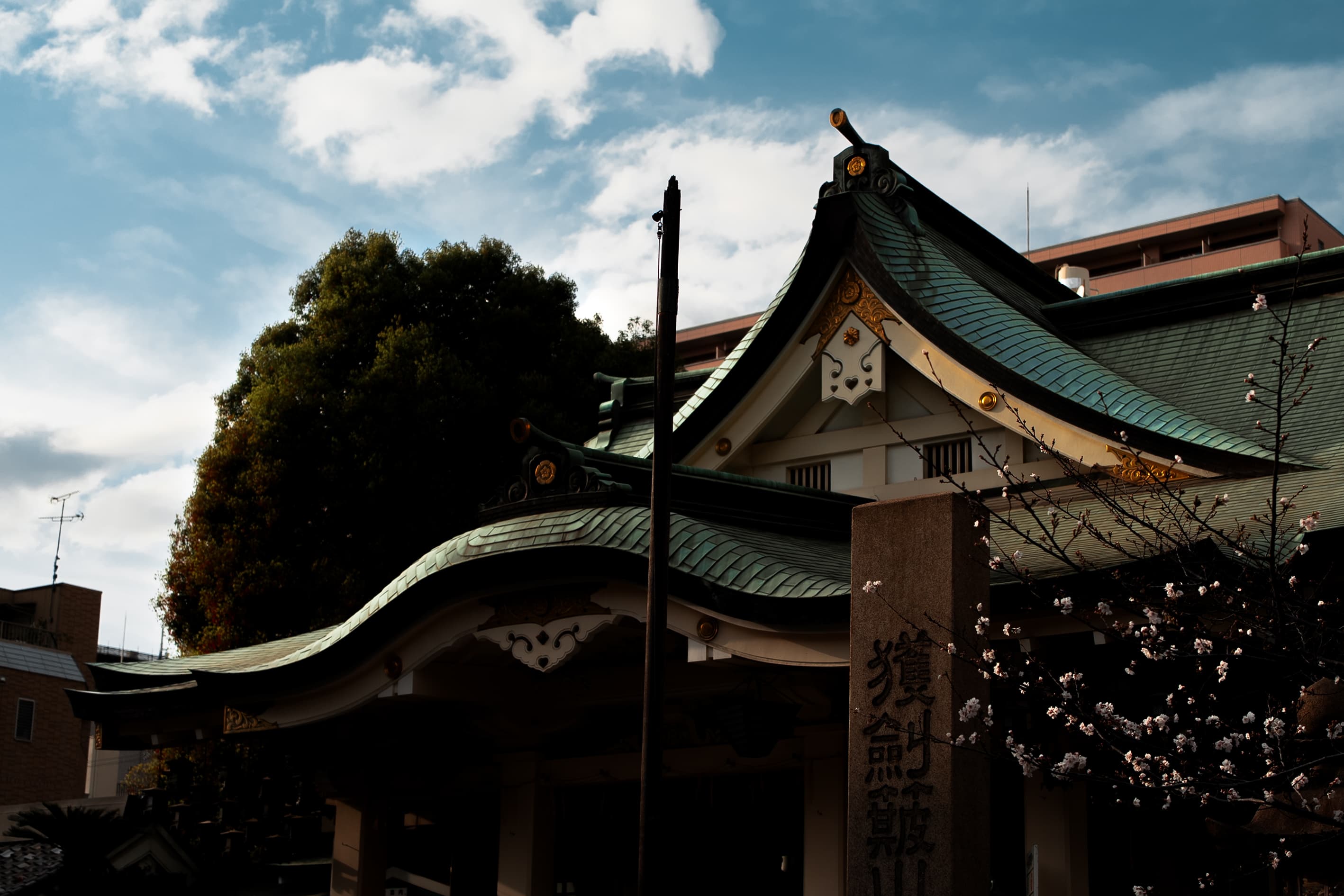 Photograph 5 by Weike Qian